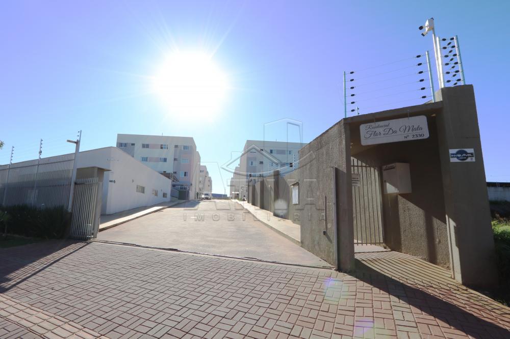 Alugar Apartamento / Padr&atilde;o em Toledo R$ 1.300,00 - Foto 2