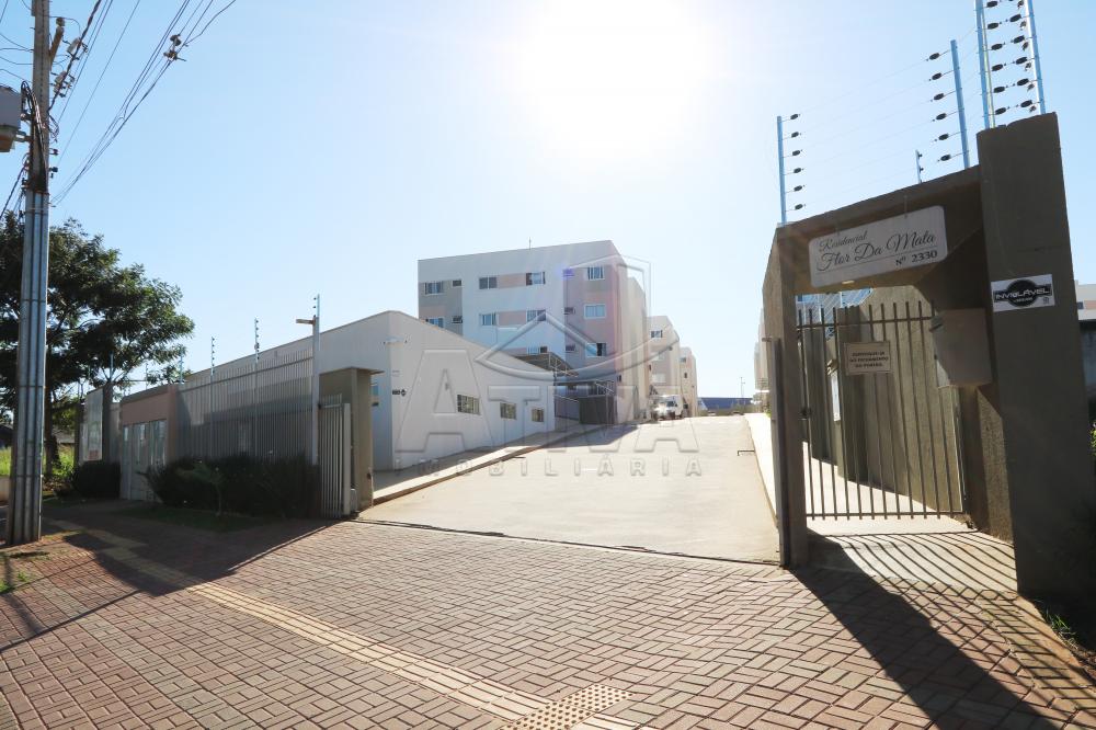 Alugar Apartamento / Padr&atilde;o em Toledo R$ 1.300,00 - Foto 3