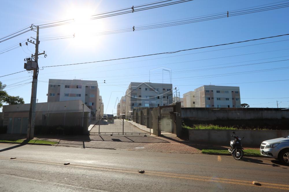 Alugar Apartamento / Padr&atilde;o em Toledo R$ 1.300,00 - Foto 1