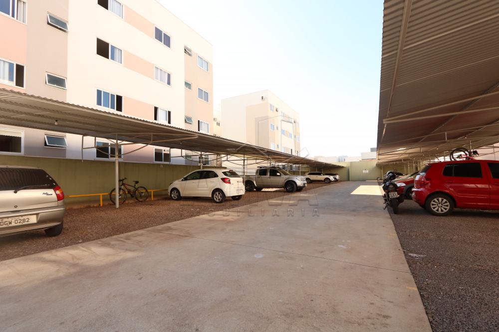 Alugar Apartamento / Padr&atilde;o em Toledo R$ 1.300,00 - Foto 25