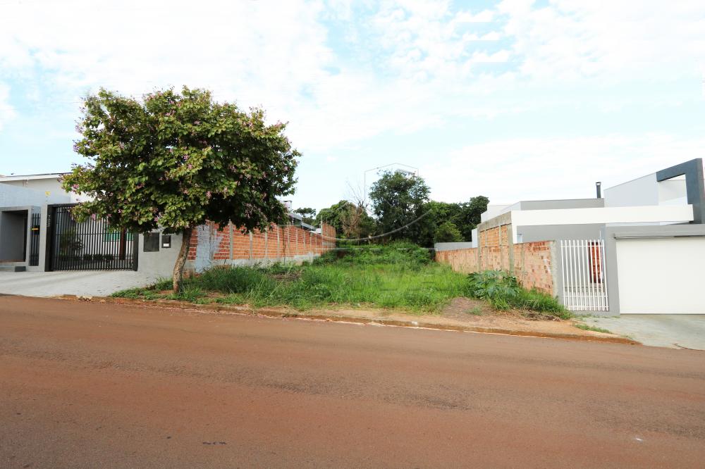 Comprar Terreno / Lote Urbano em Toledo R$ 300.000,00 - Foto 2