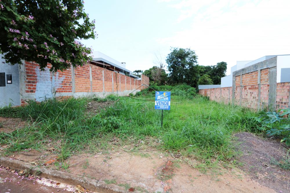 Comprar Terreno / Lote Urbano em Toledo R$ 300.000,00 - Foto 3