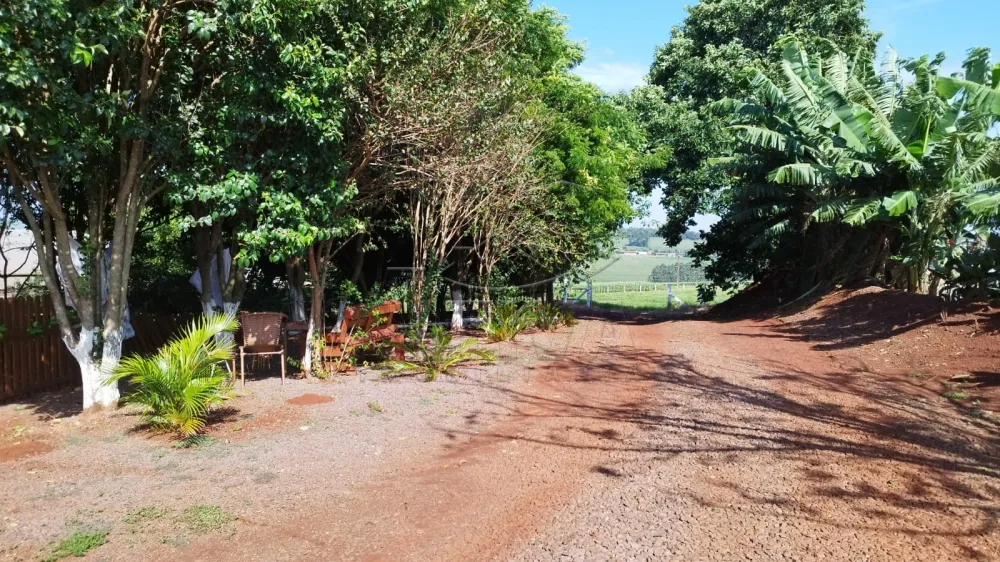Comprar Rural / S&iacute;tio em Toledo - Foto 8