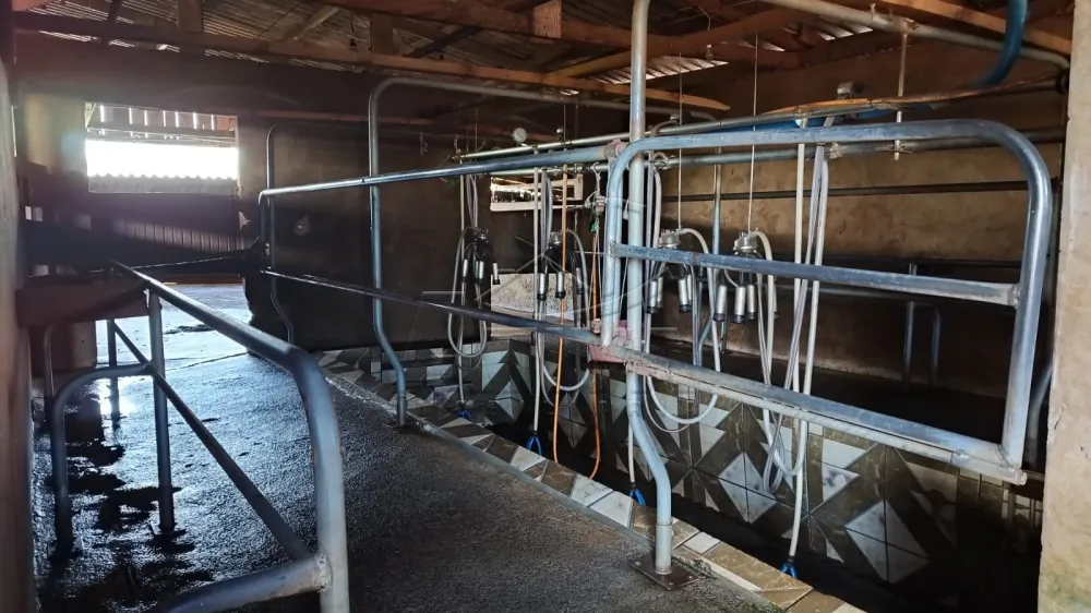 Comprar Rural / S&iacute;tio em Toledo - Foto 12