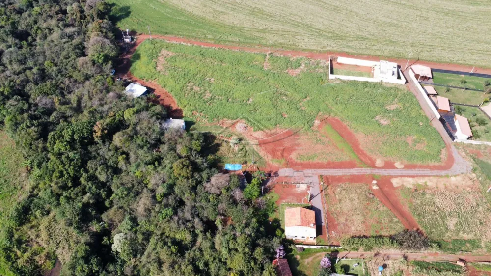 Comprar Rural / Ch&aacute;cara com Casa em Toledo R$ 900.000,00 - Foto 5