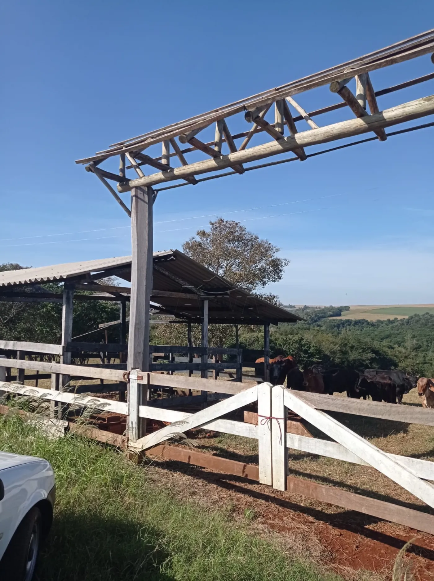 Comprar Rural / S&iacute;tio em Toledo R$ 1.200.000,00 - Foto 1