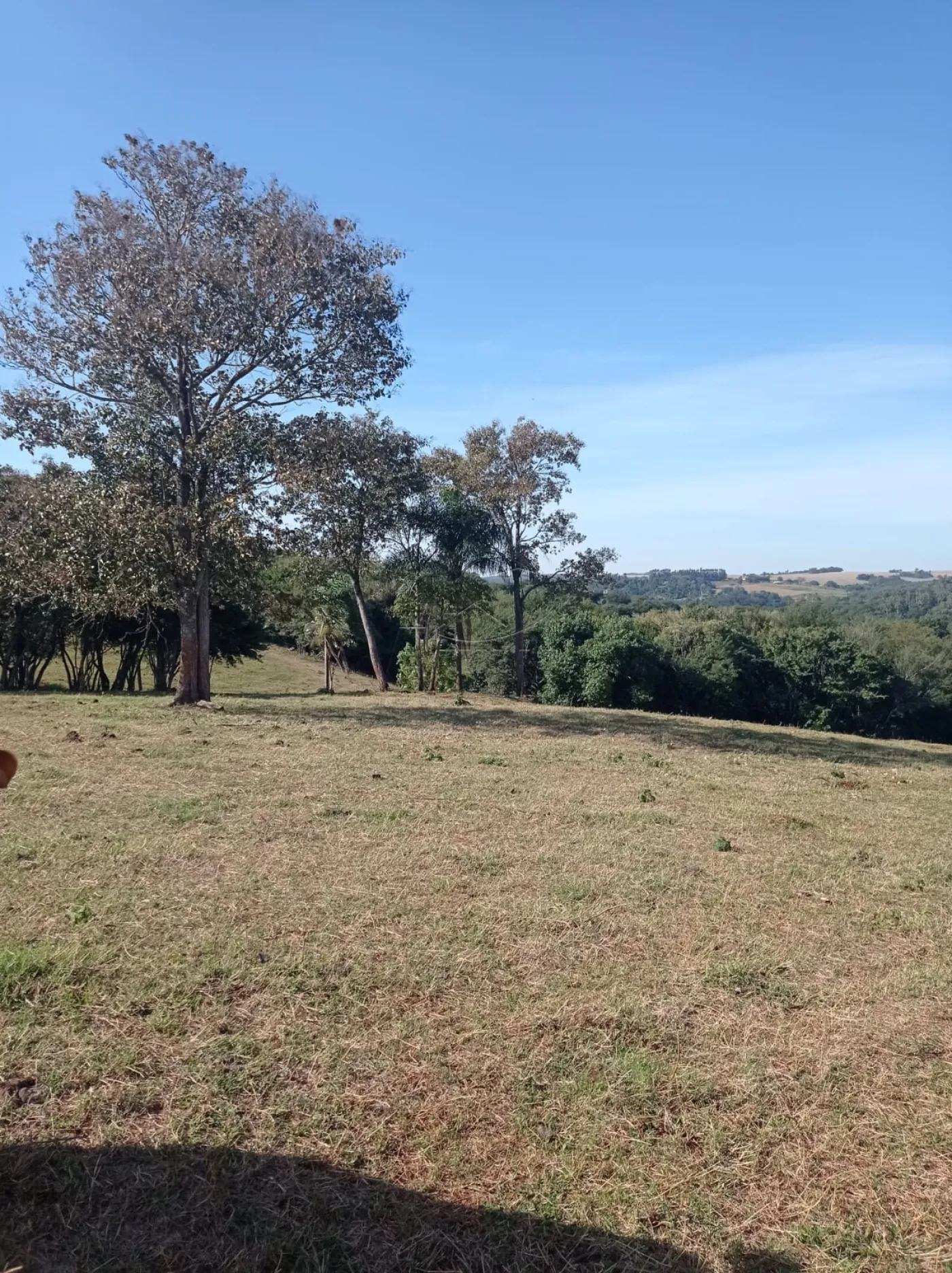 Comprar Rural / S&iacute;tio em Toledo R$ 1.200.000,00 - Foto 5