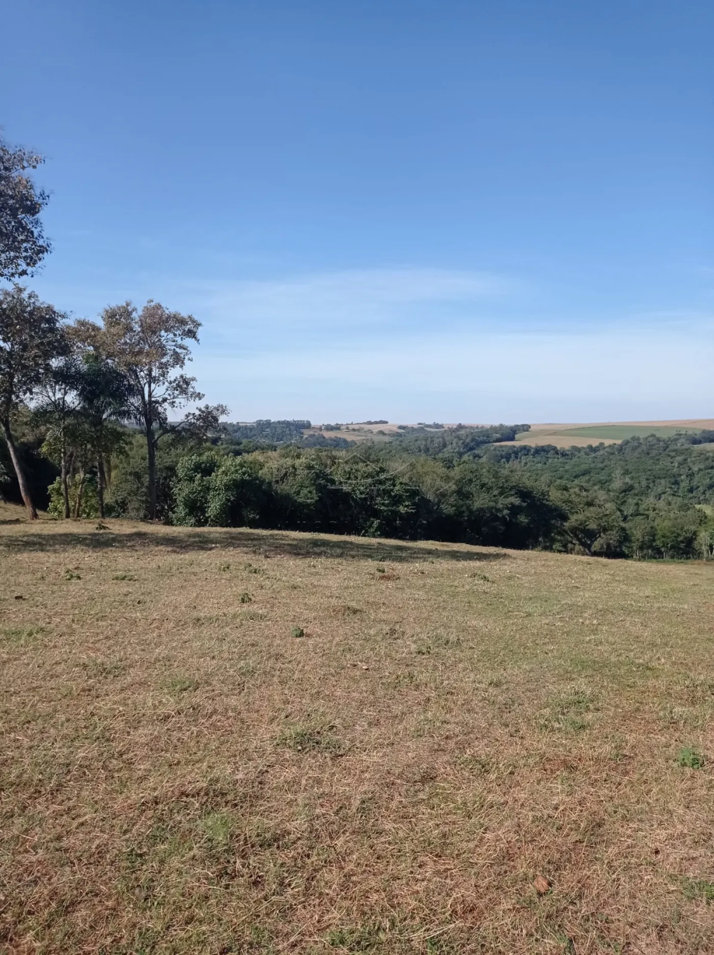 Comprar Rural / S&iacute;tio em Toledo R$ 1.200.000,00 - Foto 6