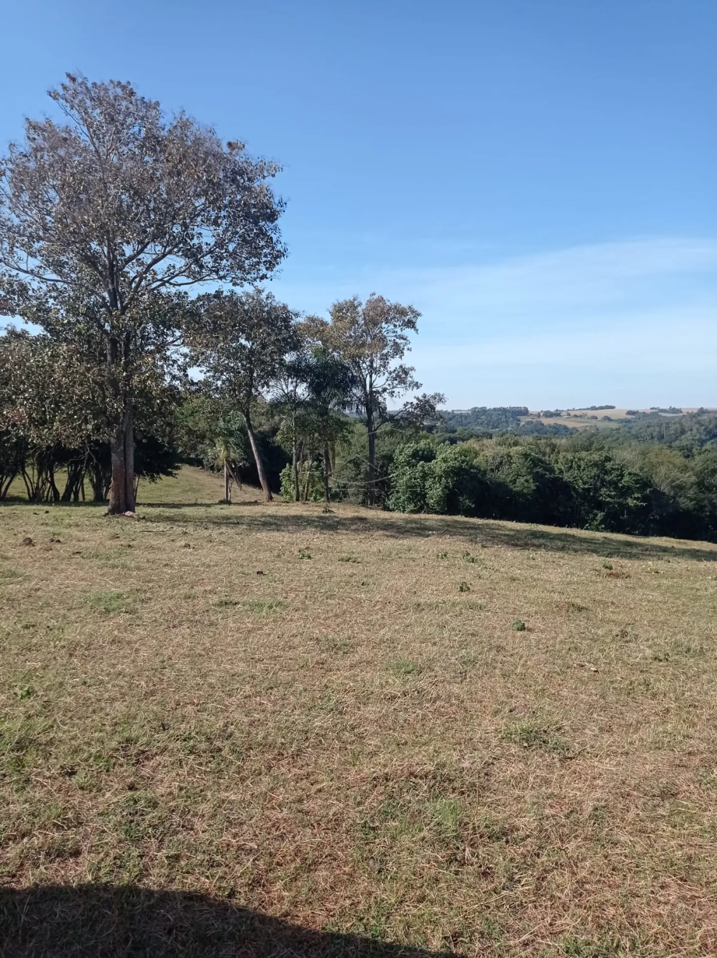 Comprar Rural / S&iacute;tio em Toledo R$ 1.200.000,00 - Foto 8