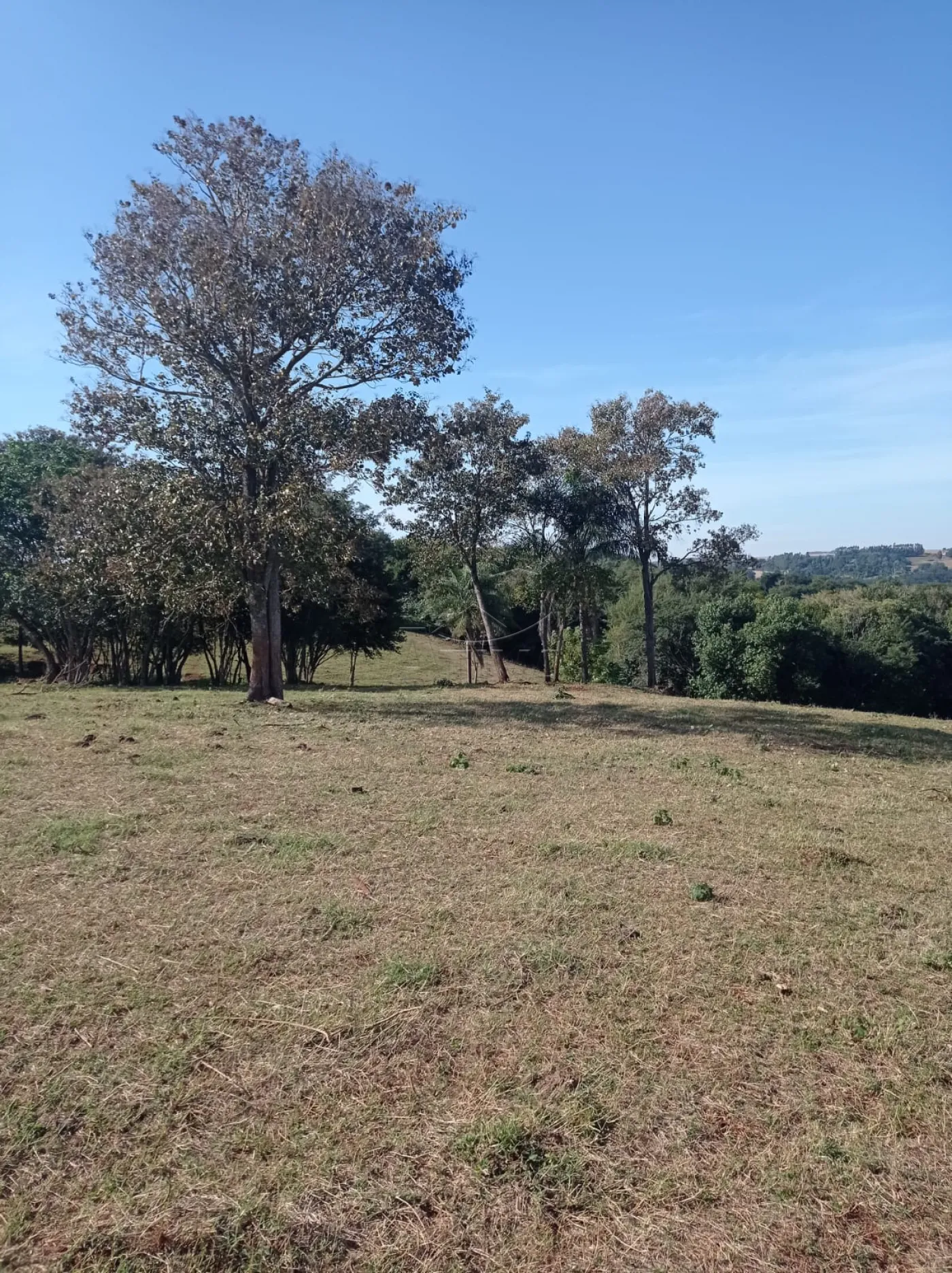 Comprar Rural / S&iacute;tio em Toledo R$ 1.200.000,00 - Foto 10