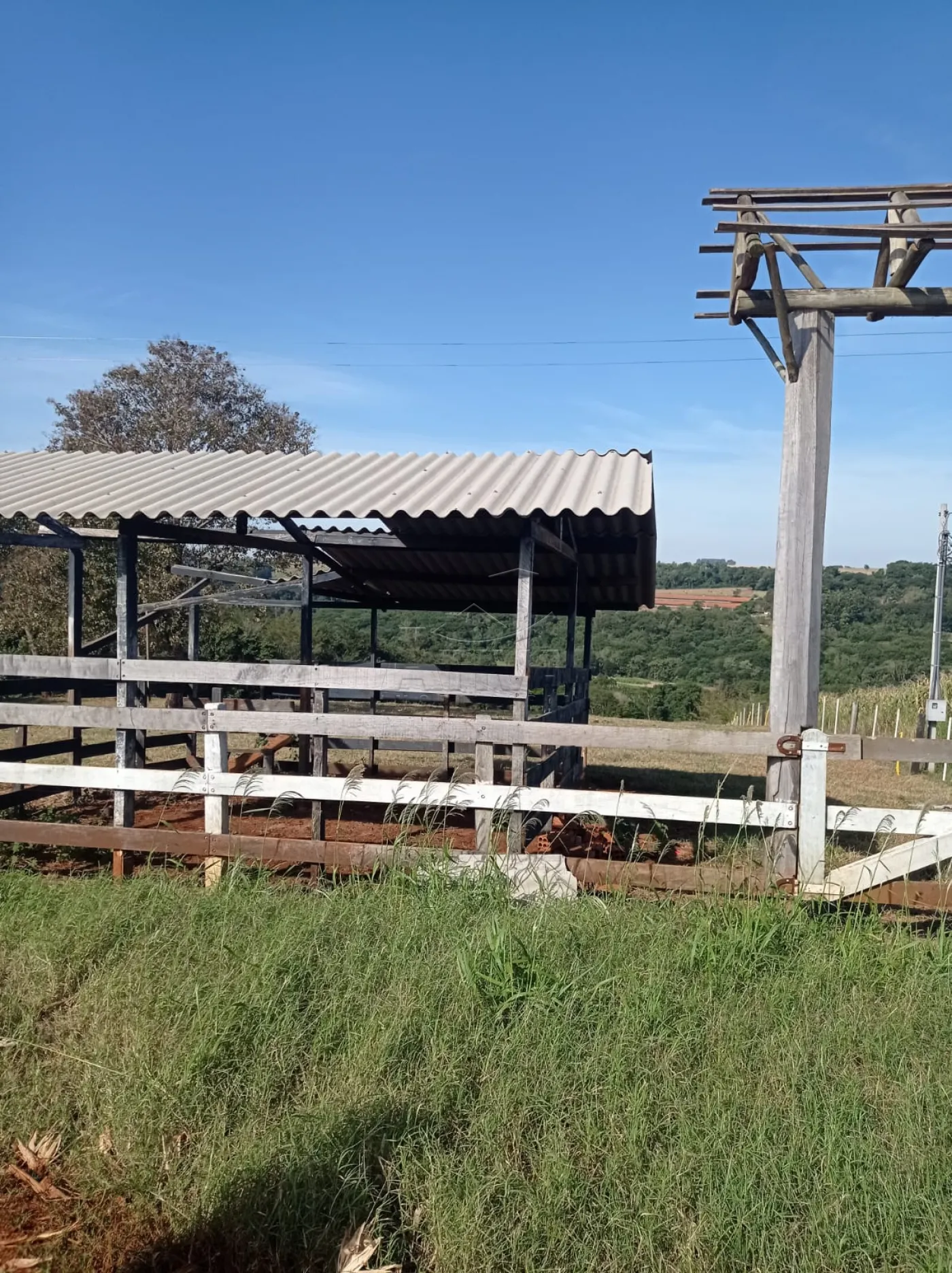 Comprar Rural / S&iacute;tio em Toledo R$ 1.200.000,00 - Foto 14