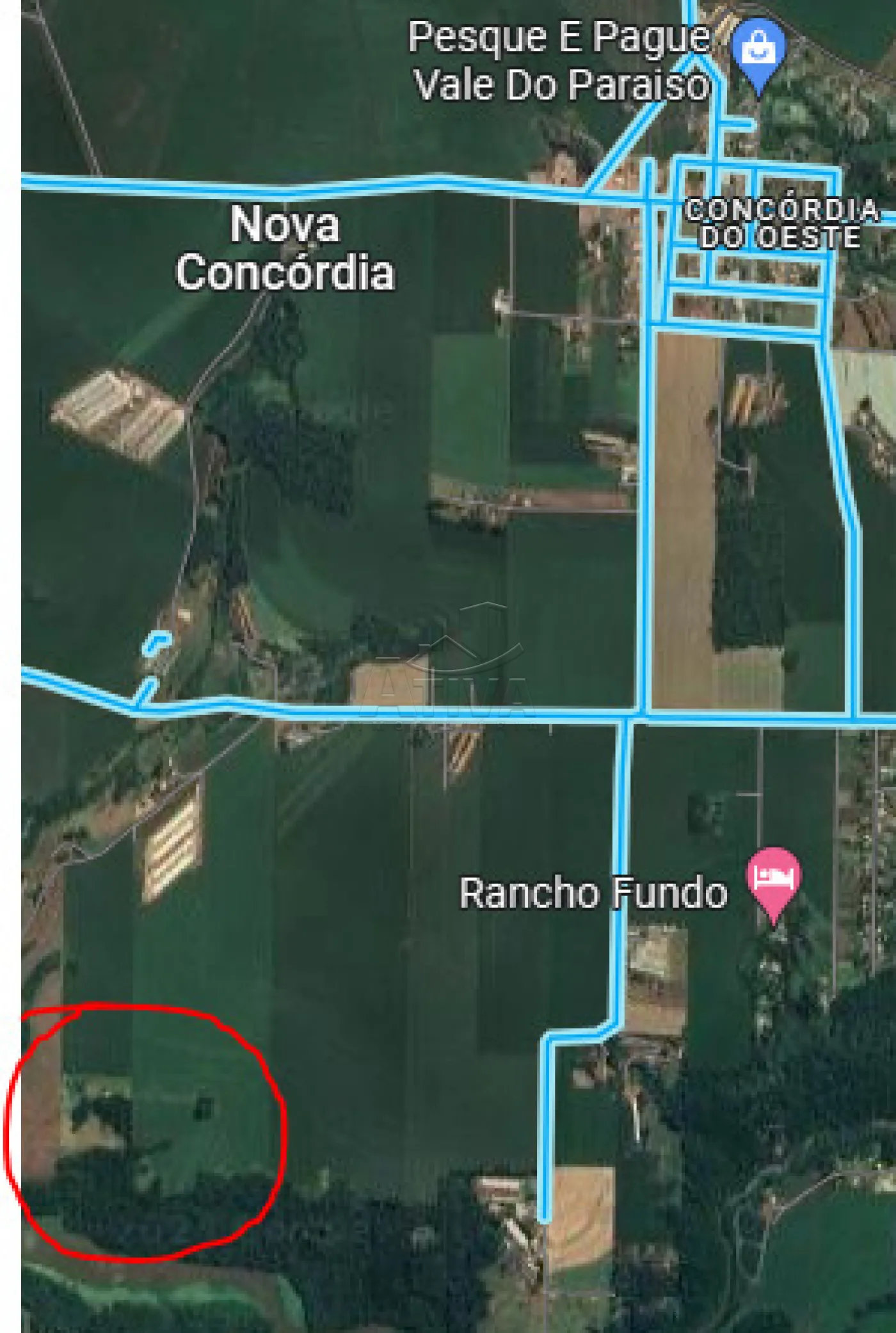 Comprar Rural / S&iacute;tio em Toledo R$ 1.200.000,00 - Foto 16