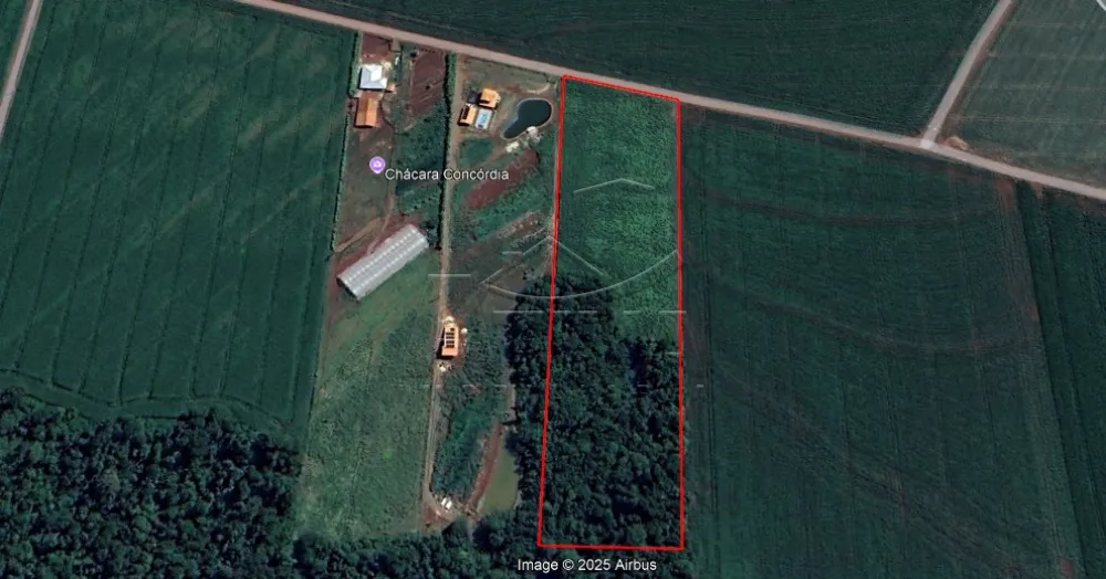 Comprar Rural / Ch&aacute;cara sem Casa em Toledo R$ 700.000,00 - Foto 1