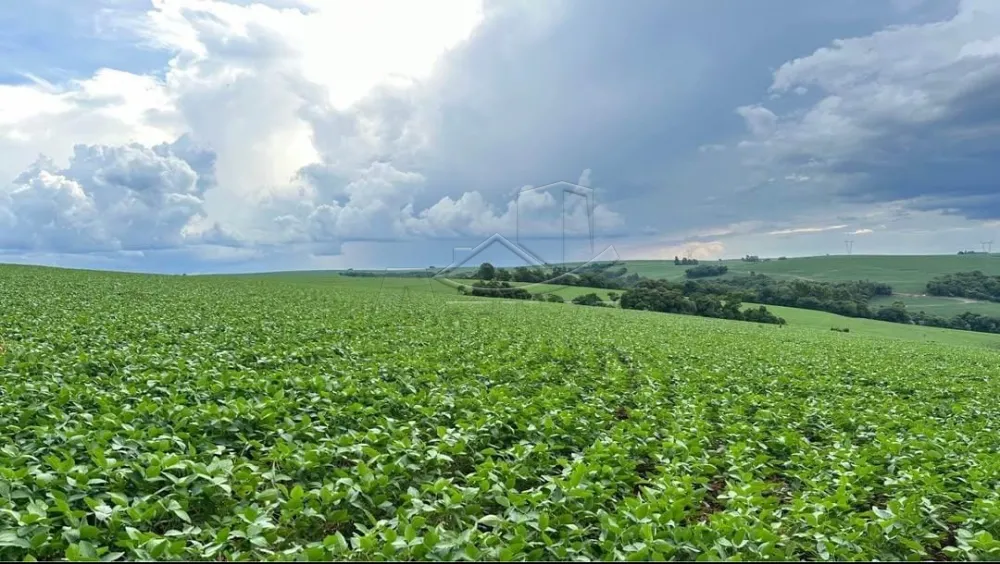 Comprar Rural / S&iacute;tio em Toledo - Foto 2
