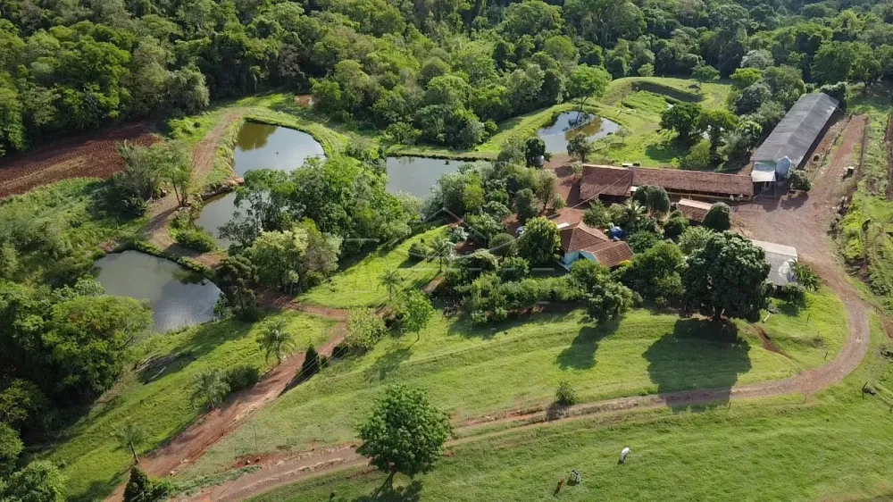 Comprar Rural / S&iacute;tio em Dois Irm&atilde;os R$ 2.650.000,00 - Foto 1