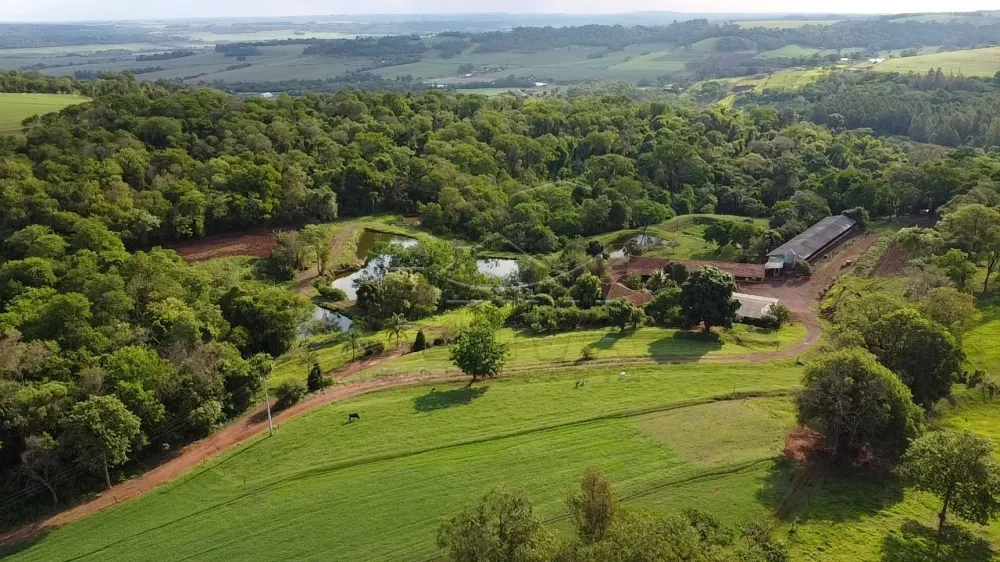 Comprar Rural / S&iacute;tio em Dois Irm&atilde;os R$ 2.650.000,00 - Foto 2