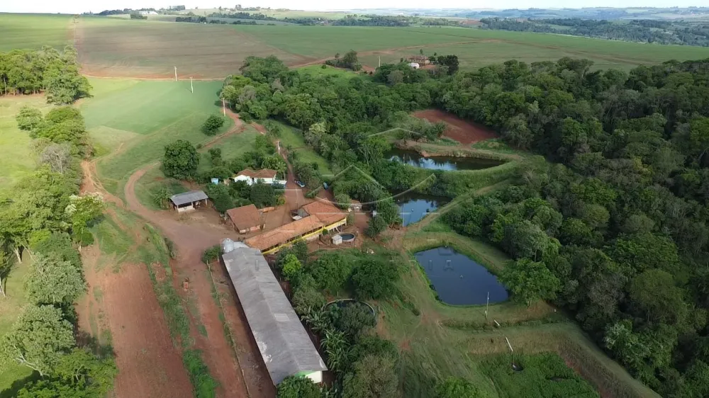 Comprar Rural / S&iacute;tio em Dois Irm&atilde;os R$ 2.650.000,00 - Foto 3