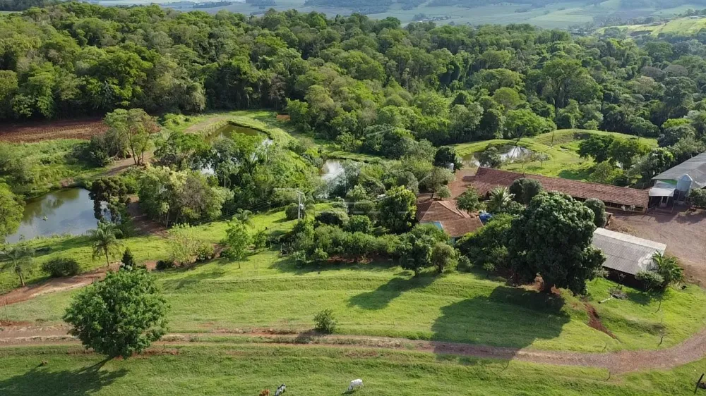 Comprar Rural / S&iacute;tio em Dois Irm&atilde;os R$ 2.650.000,00 - Foto 4