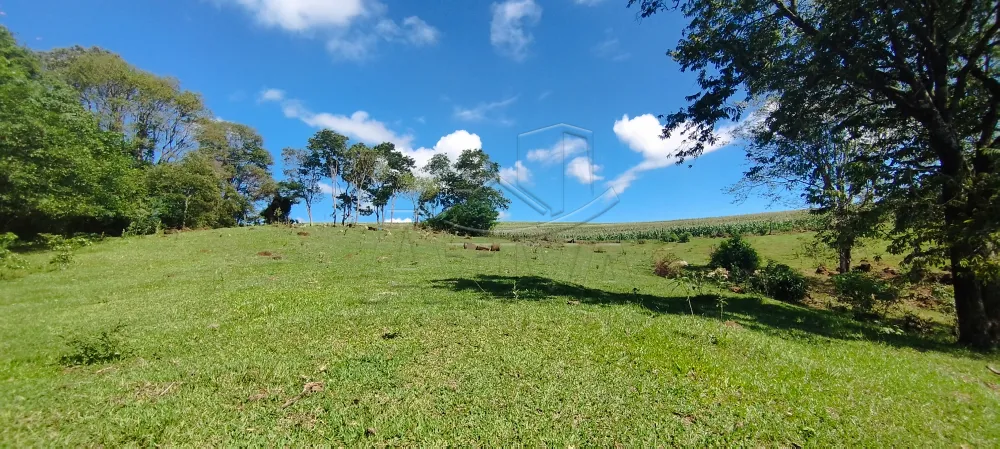 Comprar Rural / Ch&aacute;cara com Casa em Toledo R$ 1.100.000,00 - Foto 13