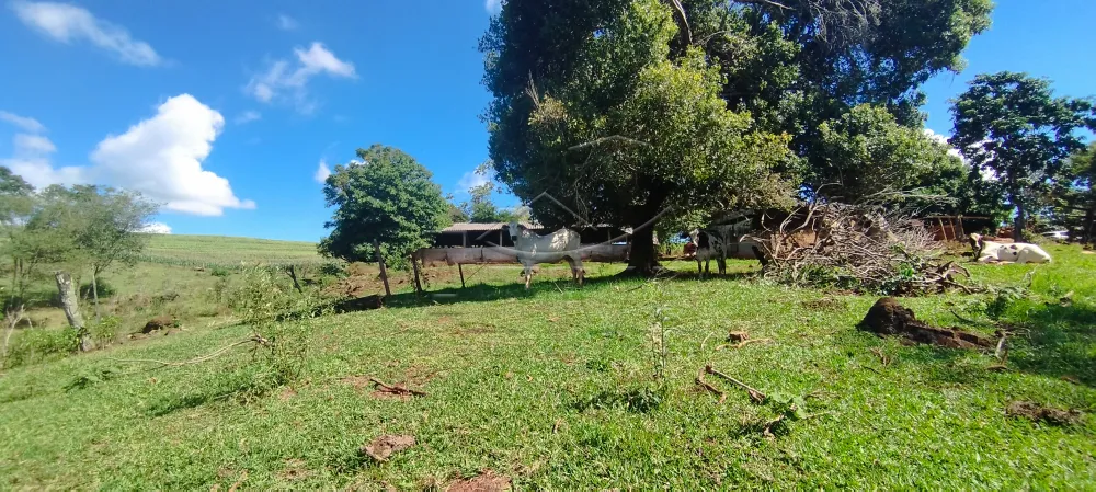 Comprar Rural / Ch&aacute;cara com Casa em Toledo R$ 1.100.000,00 - Foto 12