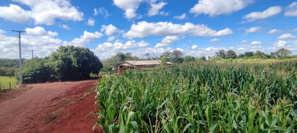 Comprar Rural / Ch&aacute;cara com Casa em Toledo R$ 1.100.000,00 - Foto 4