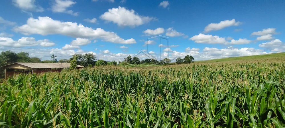 Comprar Rural / Ch&aacute;cara com Casa em Toledo R$ 1.100.000,00 - Foto 5