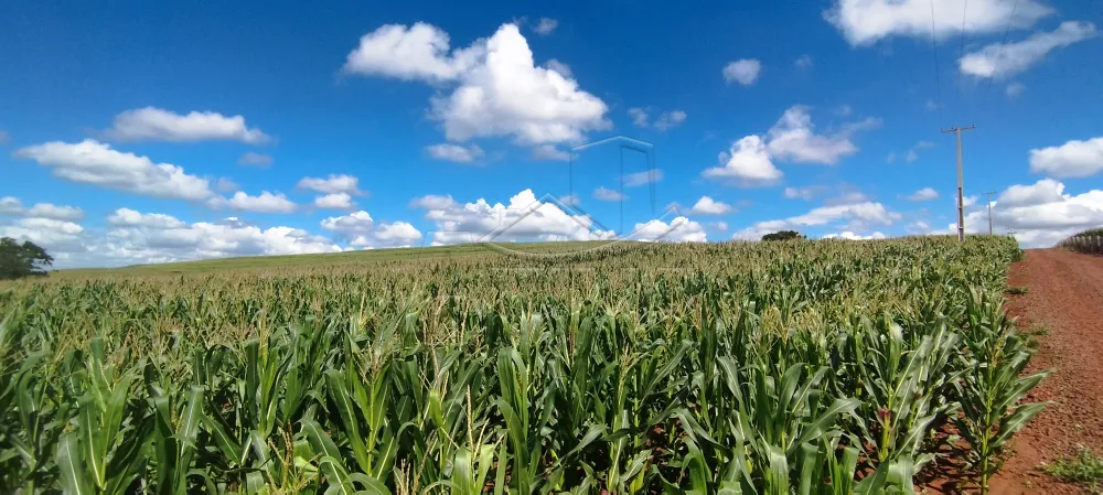 Comprar Rural / Ch&aacute;cara com Casa em Toledo R$ 1.100.000,00 - Foto 6