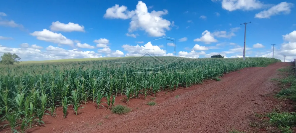 Comprar Rural / Ch&aacute;cara com Casa em Toledo R$ 1.100.000,00 - Foto 7