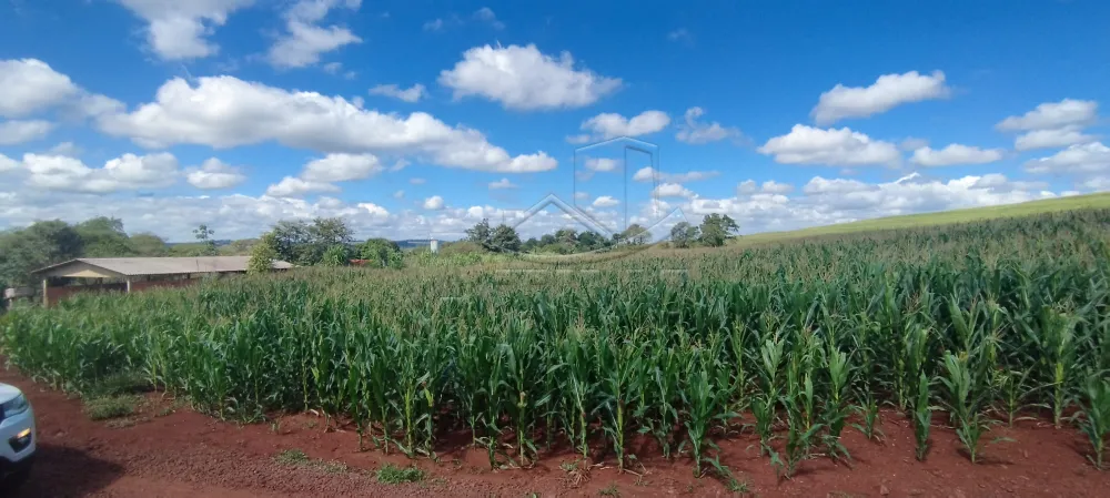 Comprar Rural / Ch&aacute;cara com Casa em Toledo R$ 1.100.000,00 - Foto 8