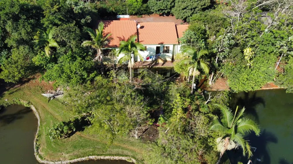 Comprar Rural / Ch&aacute;cara com Casa em Toledo R$ 7.000.000,00 - Foto 3