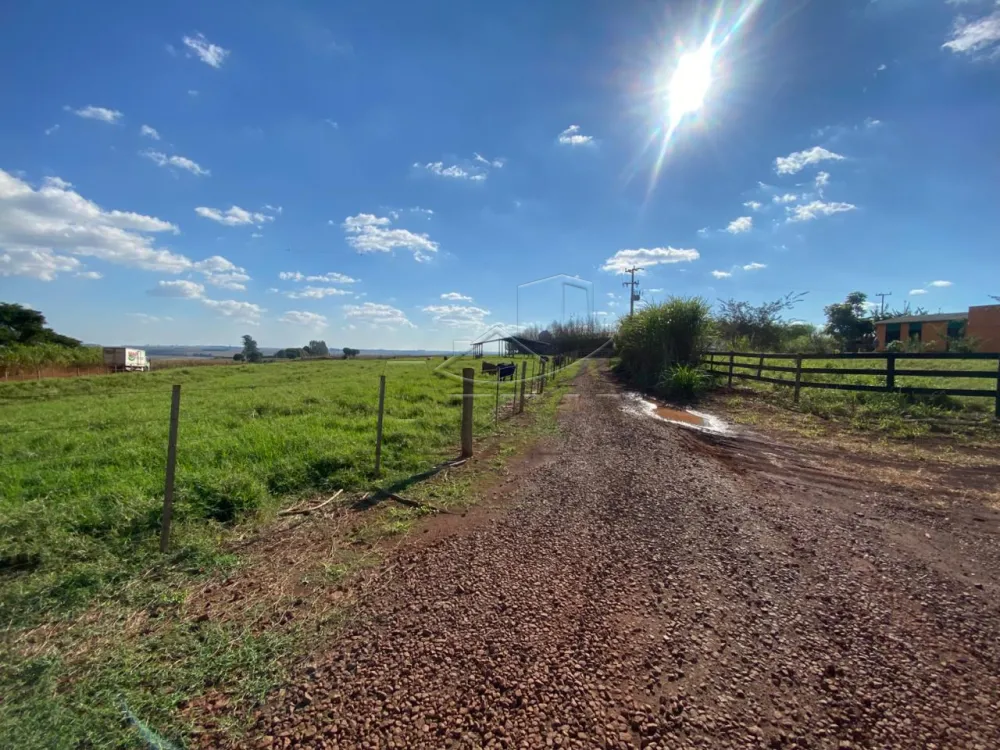 Comprar Rural / S&iacute;tio em Toledo R$ 1.600.000,00 - Foto 1