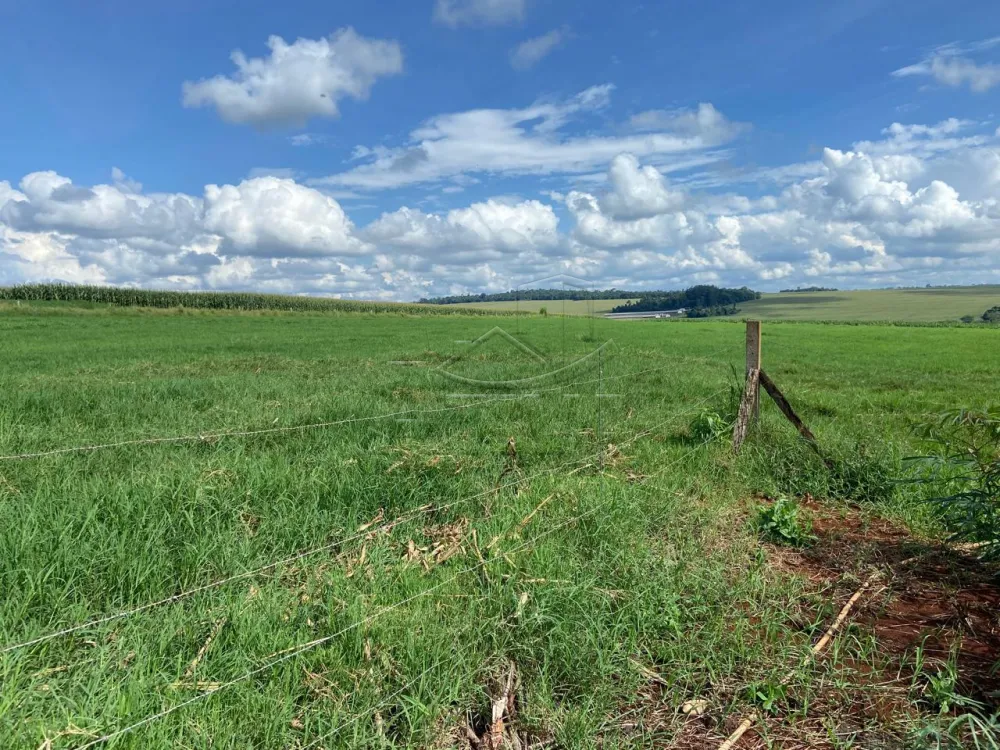 Comprar Rural / Ch&aacute;cara com Casa em Toledo R$ 3.000.000,00 - Foto 12