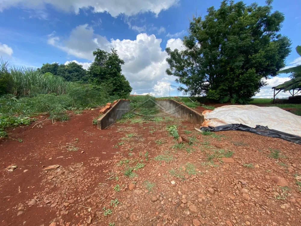 Comprar Rural / Ch&aacute;cara com Casa em Toledo R$ 3.000.000,00 - Foto 10