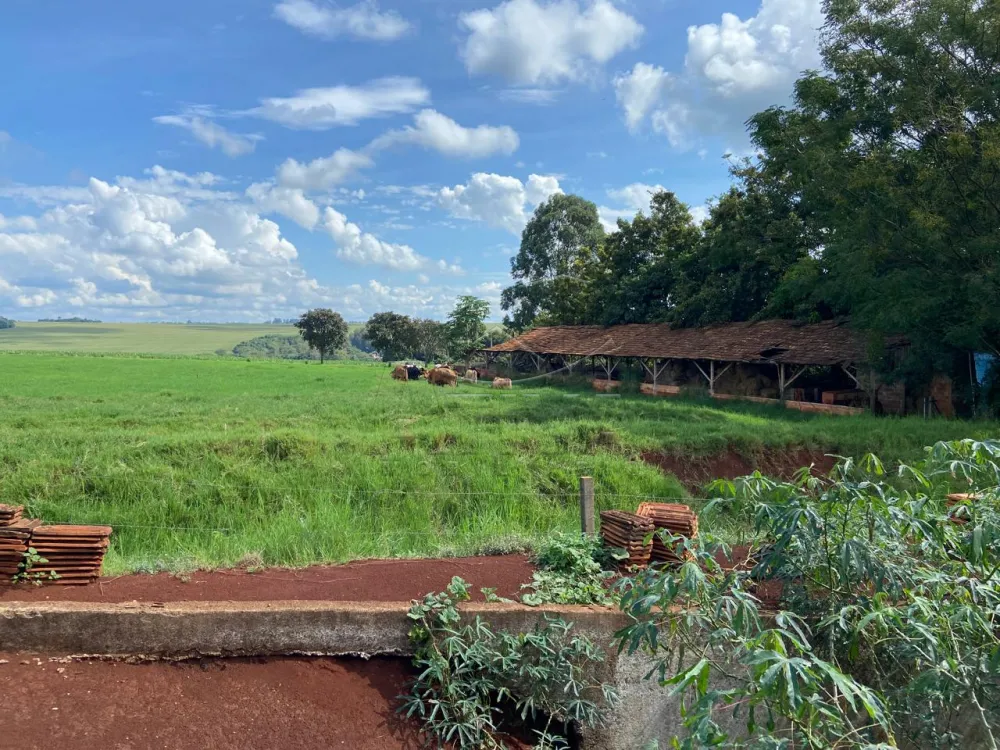 Comprar Rural / Ch&aacute;cara com Casa em Toledo R$ 3.000.000,00 - Foto 11