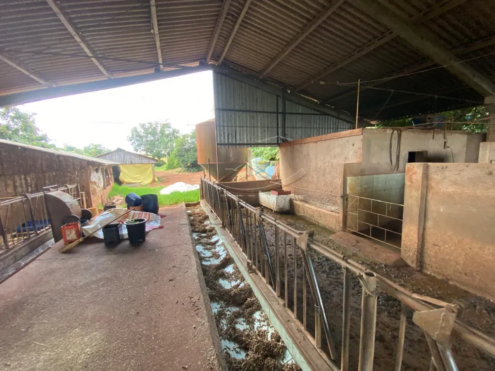 Comprar Rural / Ch&aacute;cara com Casa em Toledo R$ 3.000.000,00 - Foto 9