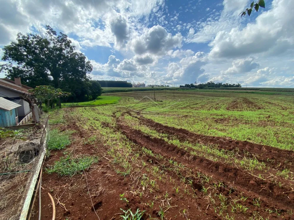 Comprar Rural / Ch&aacute;cara com Casa em Toledo R$ 3.000.000,00 - Foto 14