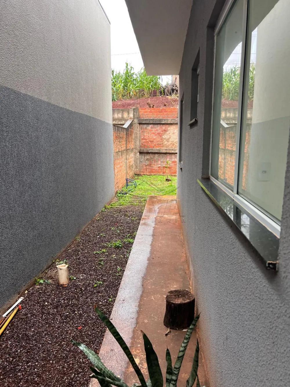 Alugar Casa / Padr&atilde;o em Toledo R$ 1.300,00 - Foto 3