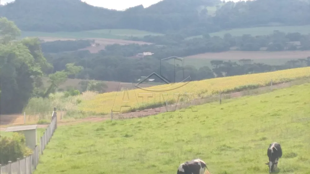 Comprar Terreno / Ch&aacute;cara em Cascavel R$ 440.000,00 - Foto 3