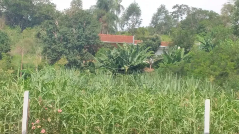 Comprar Terreno / Ch&aacute;cara em Cascavel R$ 440.000,00 - Foto 6