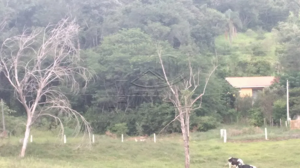 Comprar Terreno / Ch&aacute;cara em Cascavel R$ 440.000,00 - Foto 9