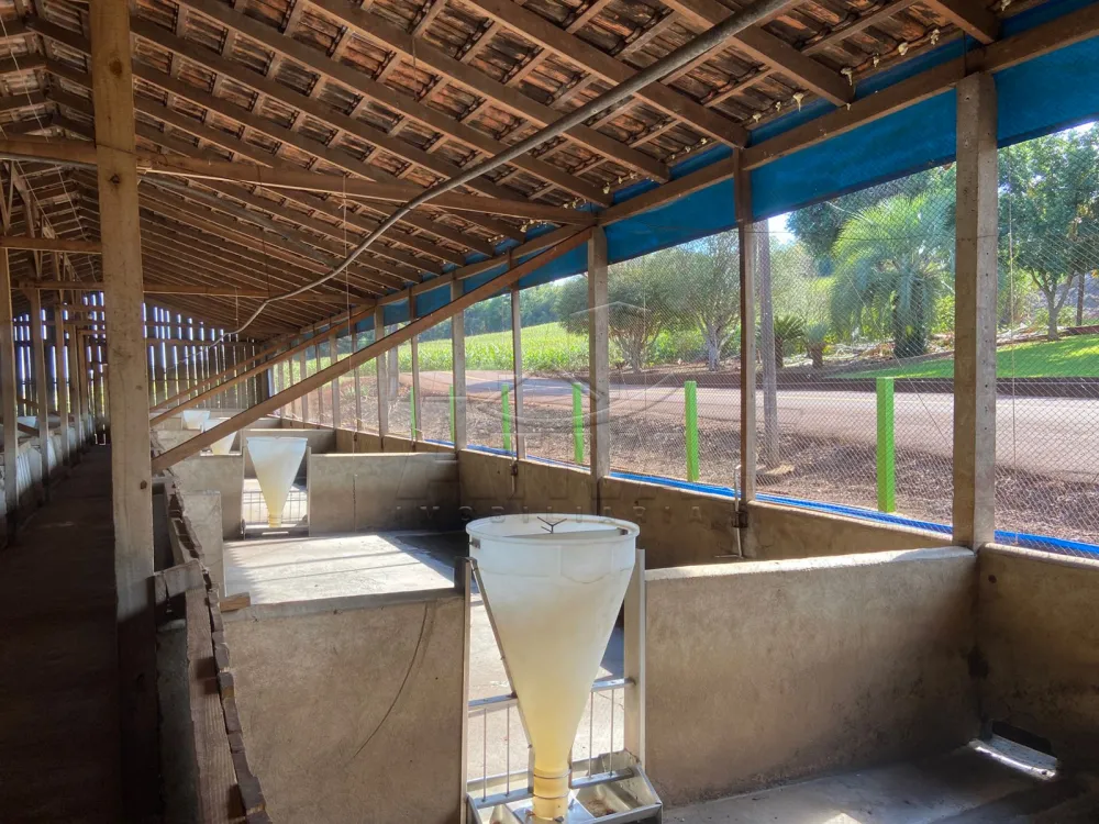 Comprar Rural / Ch&aacute;cara com Casa em Toledo R$ 2.380.000,00 - Foto 11