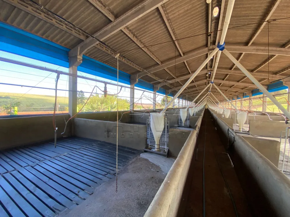 Comprar Rural / Ch&aacute;cara com Casa em Toledo R$ 2.380.000,00 - Foto 5