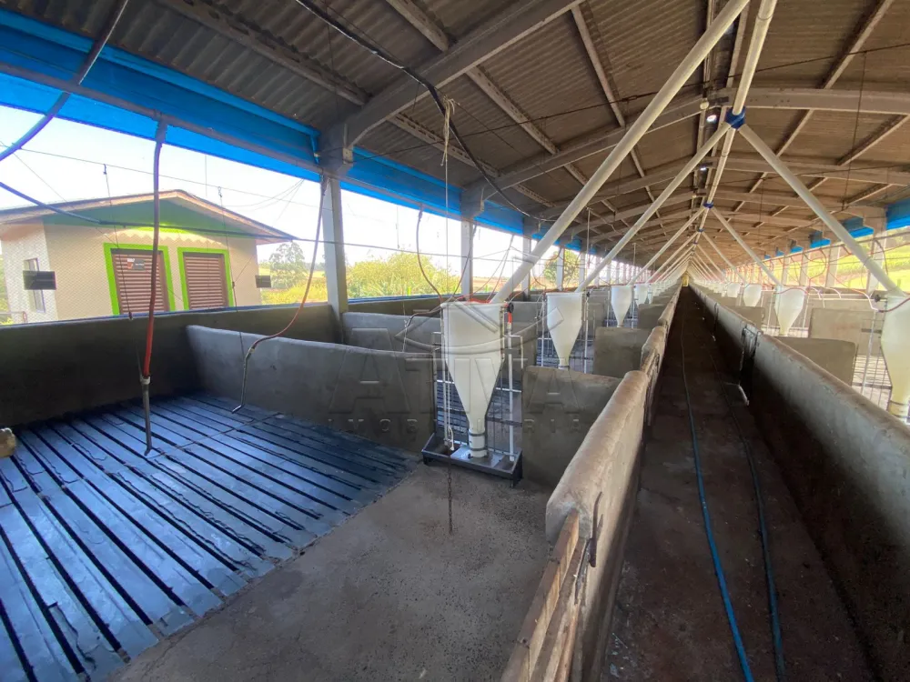 Comprar Rural / Ch&aacute;cara com Casa em Toledo R$ 2.380.000,00 - Foto 6