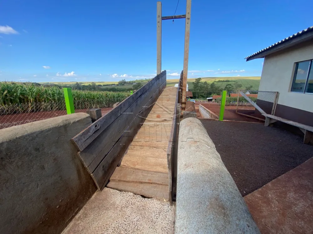 Comprar Rural / Ch&aacute;cara com Casa em Toledo R$ 2.380.000,00 - Foto 4