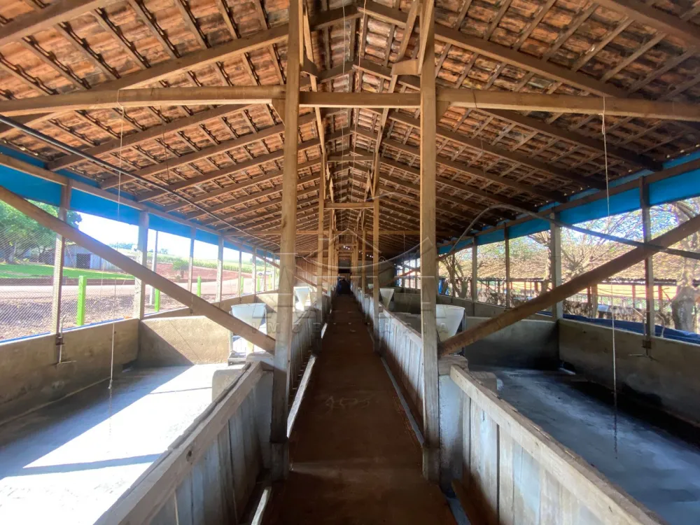 Comprar Rural / Ch&aacute;cara com Casa em Toledo R$ 2.380.000,00 - Foto 10