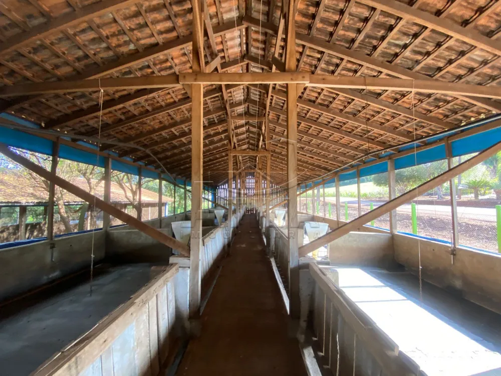 Comprar Rural / Ch&aacute;cara com Casa em Toledo R$ 2.380.000,00 - Foto 9