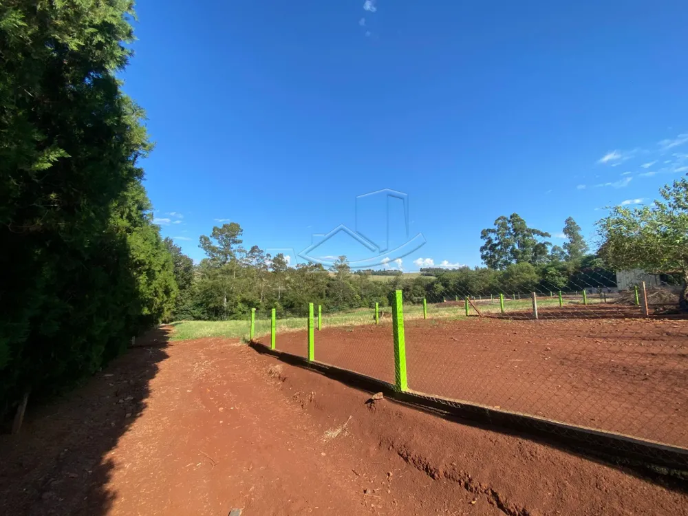 Comprar Rural / Ch&aacute;cara com Casa em Toledo R$ 2.380.000,00 - Foto 13