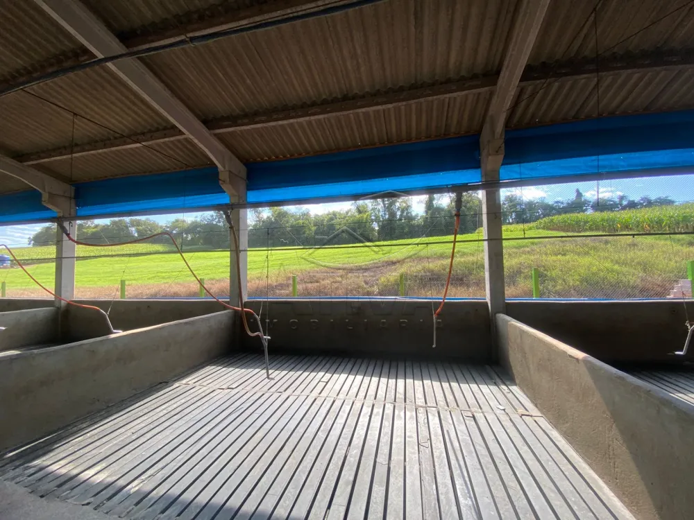 Comprar Rural / Ch&aacute;cara com Casa em Toledo R$ 2.380.000,00 - Foto 7