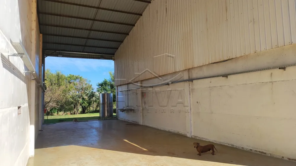 Alugar Comercial / Barrac&atilde;o em Toledo R$ 8.000,00 - Foto 5