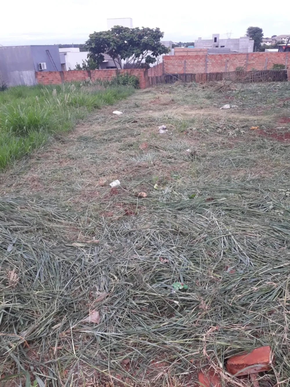 Comprar Terreno / Lote Urbano em Toledo R$ 190.000,00 - Foto 2